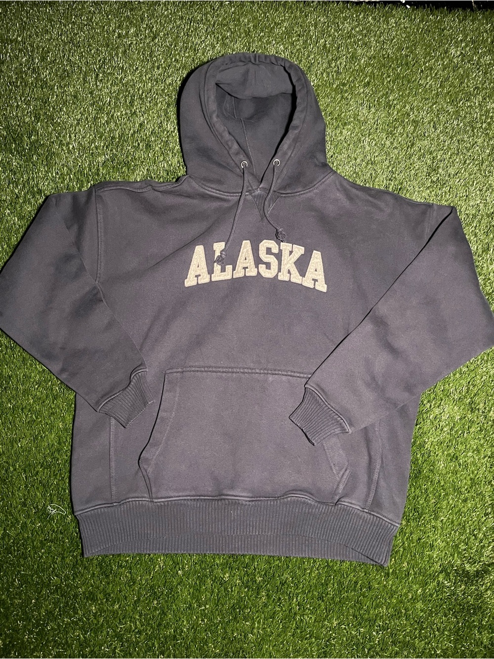 Alaska Hoodie Men’s Large in Purple/Gray